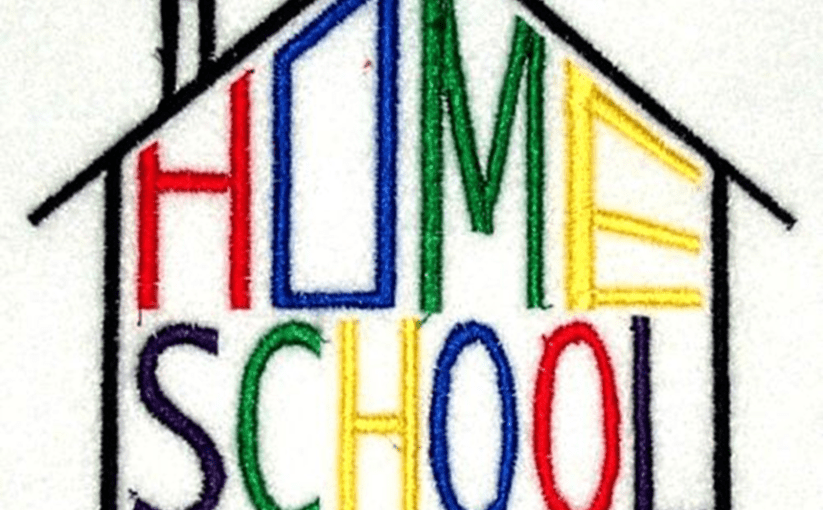 Lockdown schooling and privilege-checking